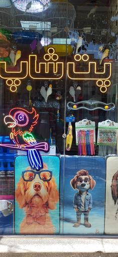 عکس پت شاپ پرطلایی 