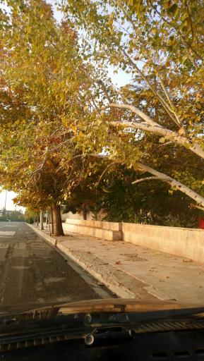 عکس بوستان سدروس