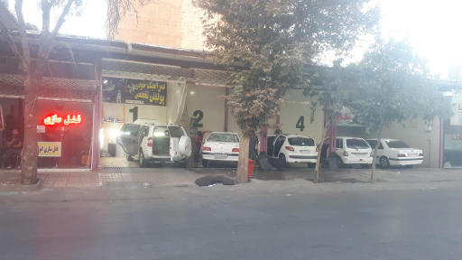 عکس کارواش متالیک