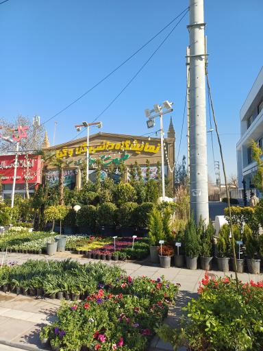 عکس طبیعت سبز قلب آسیا