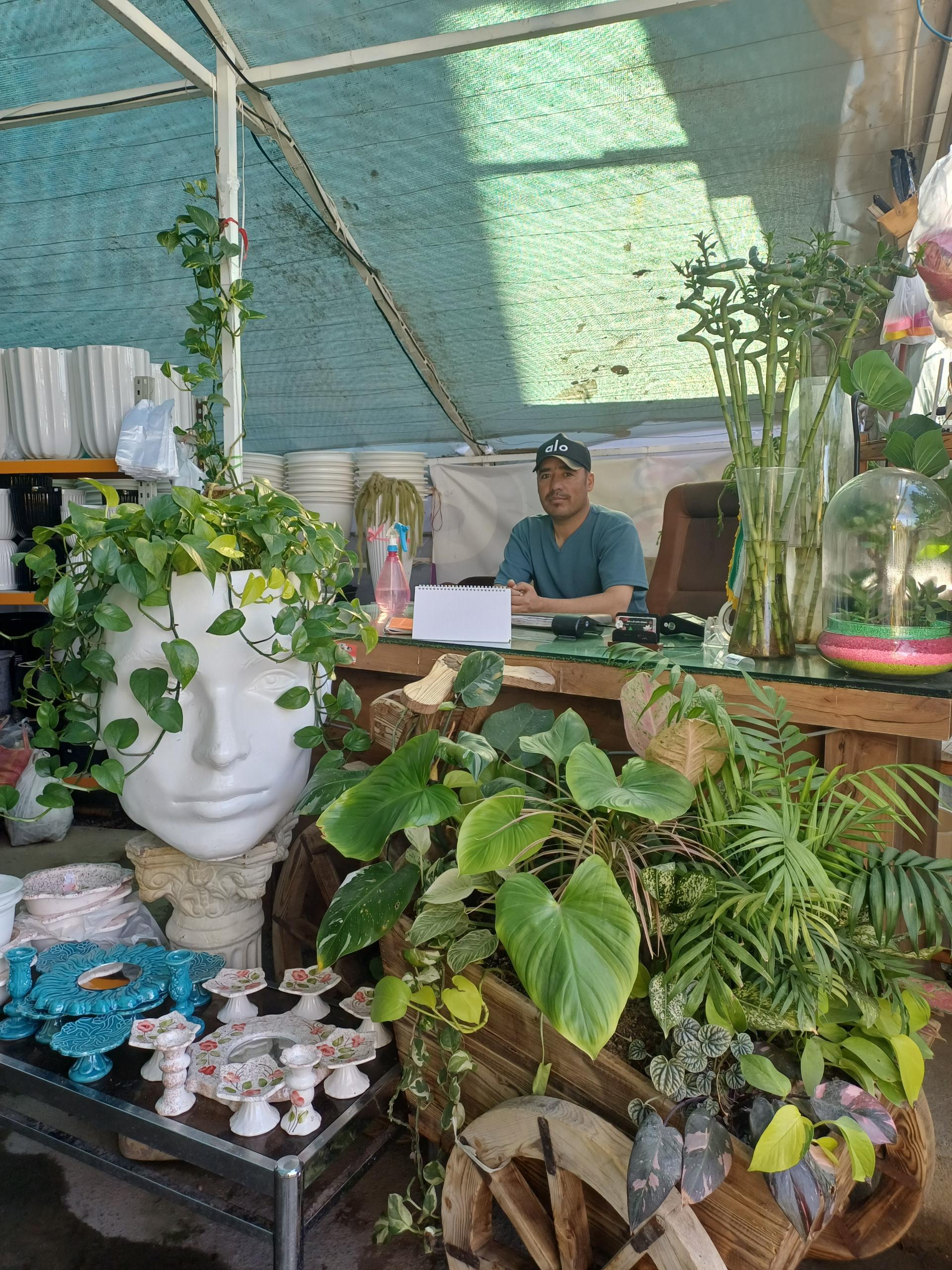 عکس طبیعت سبز قلب آسیا