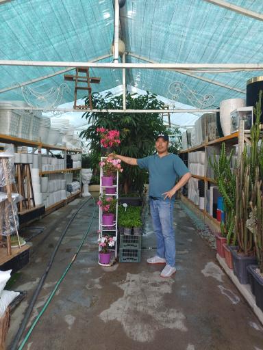 عکس طبیعت سبز قلب آسیا