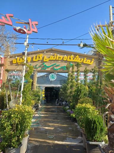 عکس طبیعت سبز قلب آسیا