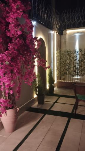 عکس کافه رستوران دامون