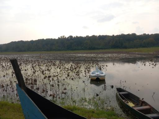 عکس تالاب فصلی فشتام