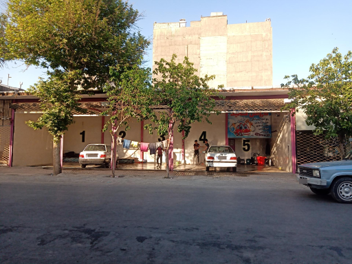 کارواش متالیک