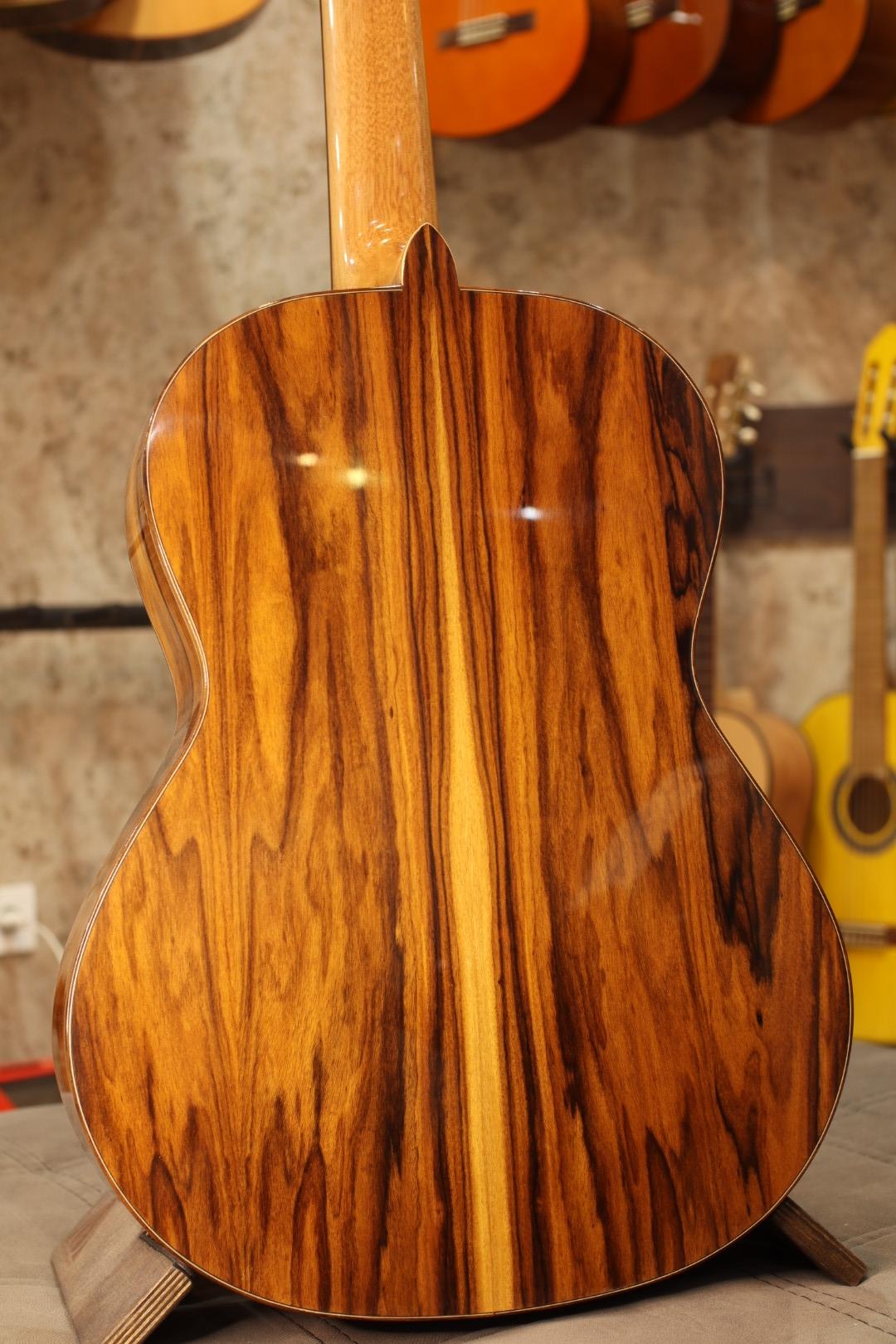 عکس گالری موسیقی شبدیز