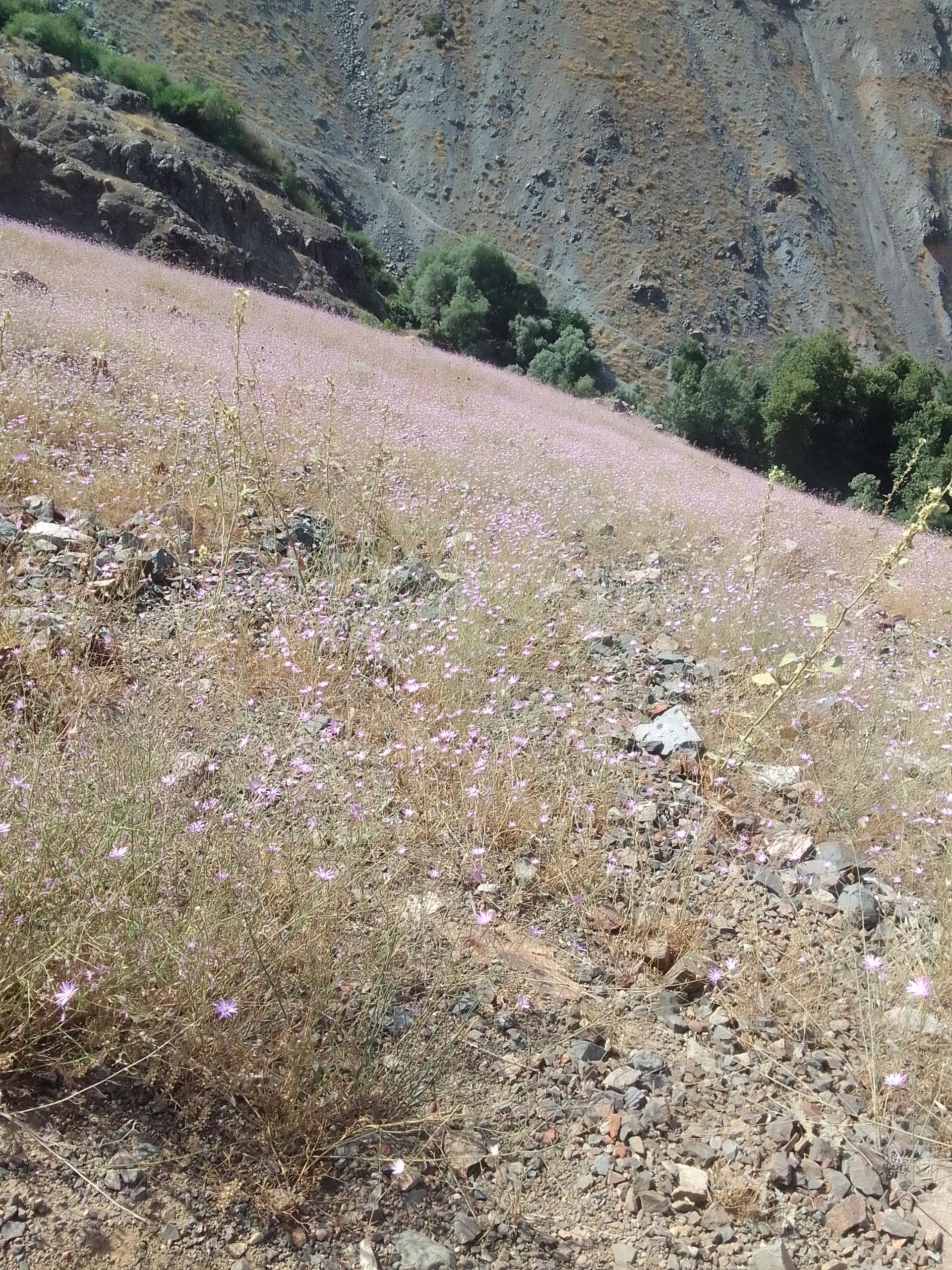 عکس آبشار اول گلاب دره