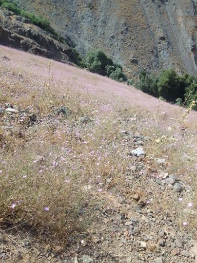 عکس آبشار اول گلاب دره