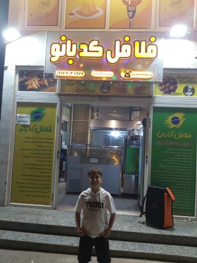 عکس فلافل کدبانو