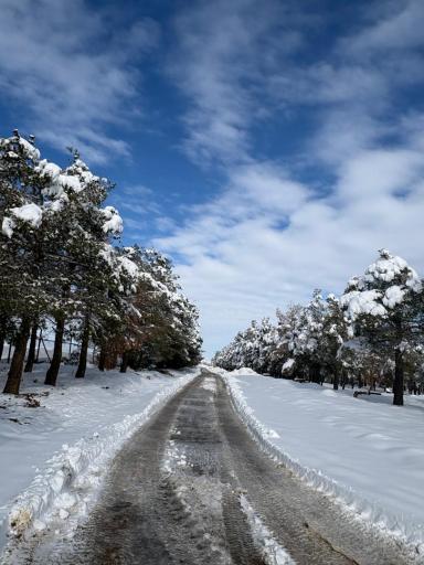 عکس شاهین شهر