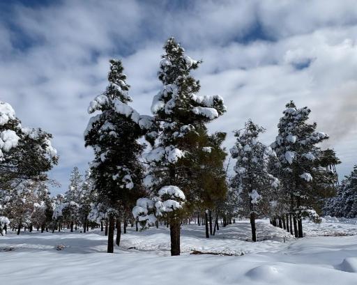 عکس شاهین شهر