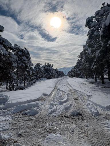 عکس شاهین شهر