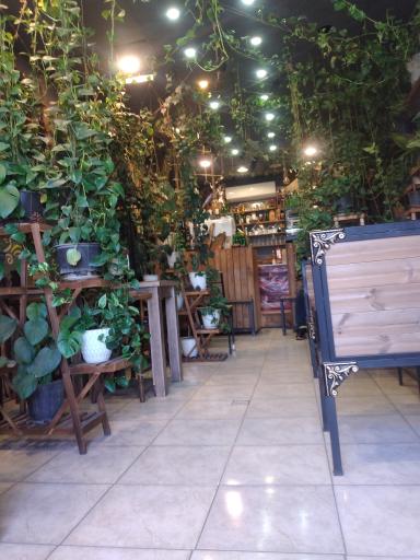 عکس کافه تخت جمشید