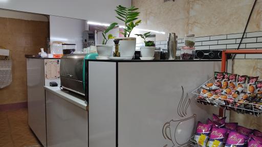 عکس کافه کاکتوس 