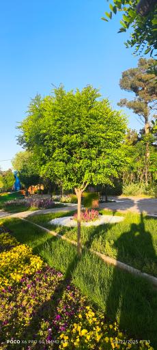 عکس پارک ملت