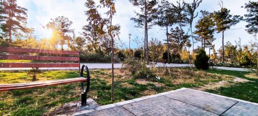 عکس پارک ملت