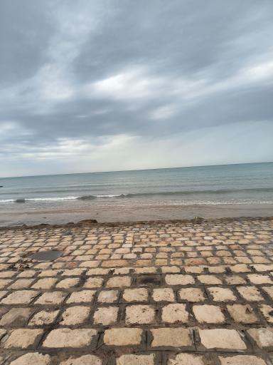 عکس پارک ساحلی