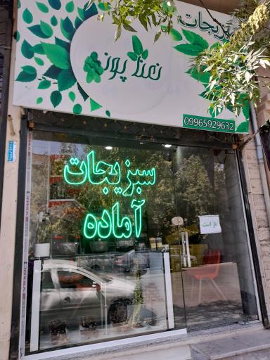 سبزیجات آماده نعنا پونه