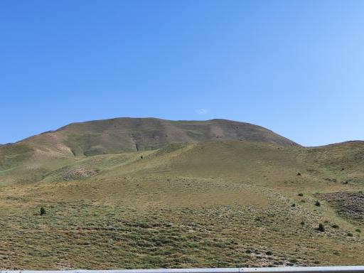 سرآور