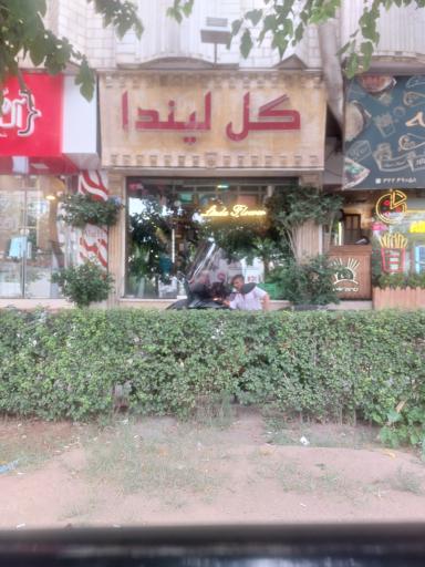 عکس گل لیندا