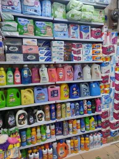 عکس شوینده بهداشتی فردوس