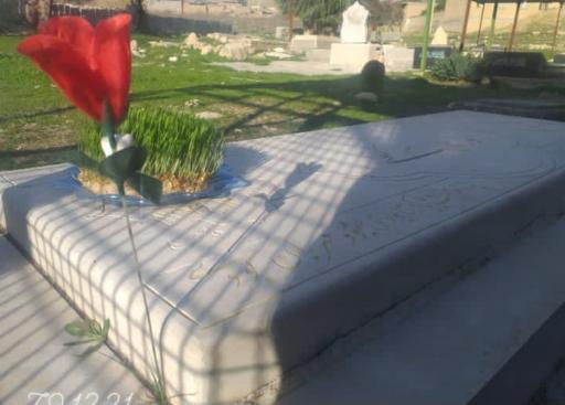 عکس آرامستان باغ گل گل