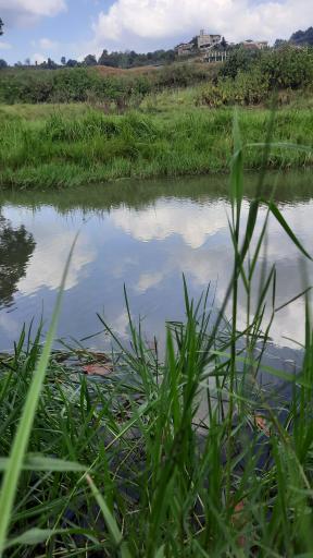 عکس رودخانه مولا تیجون اسماعیلی
