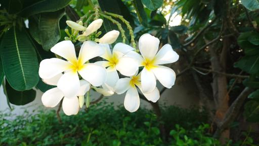 عکس هتل ریم رام عسلویه