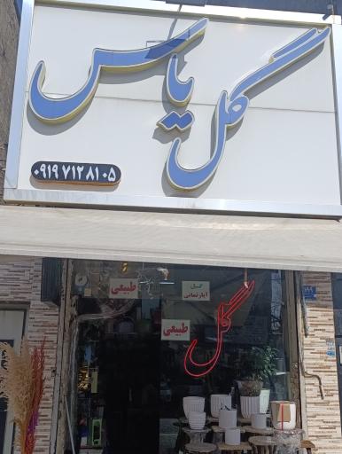 گل فروشی یاس