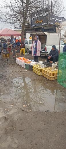 عکس جمعه بازار جویبار