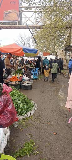 عکس جمعه بازار جویبار