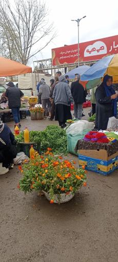 عکس جمعه بازار جویبار