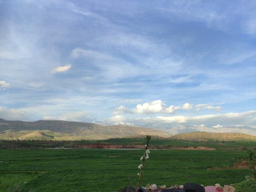 عکس چمداود
