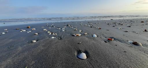 عکس رضوانشهر