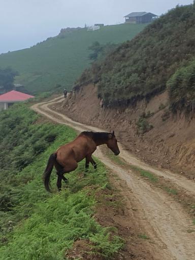 عکس رضوانشهر