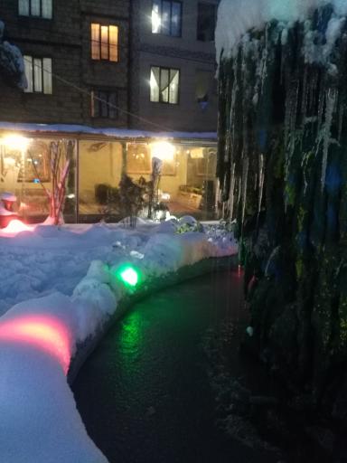 عکس باغچه رستوران فانوس آبی