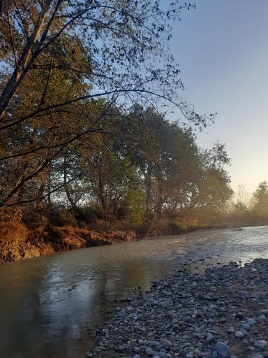 عکس رضوانشهر