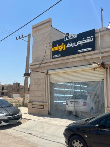 عکس تشخیص رنگ رئوفی