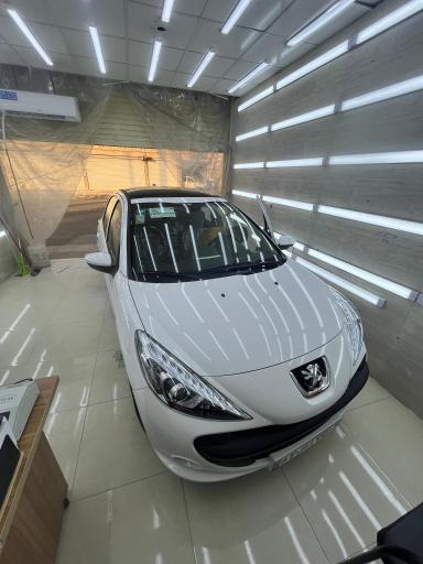 عکس تشخیص رنگ رئوفی