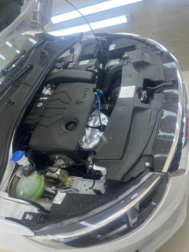 عکس تشخیص رنگ رئوفی