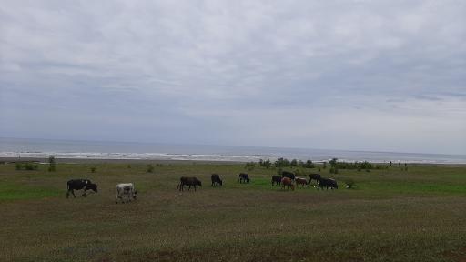 عکس رضوانشهر