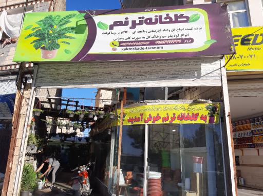 عکس گلخانه ترنم