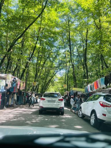 عکس جاده توریستی ساحل گیسوم