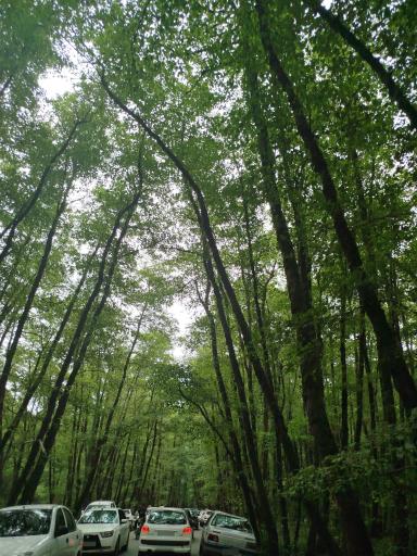 عکس جاده توریستی ساحل گیسوم