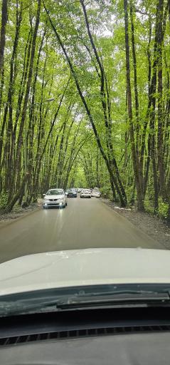 عکس جاده توریستی ساحل گیسوم