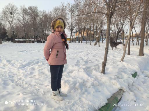 عکس پارک لاله