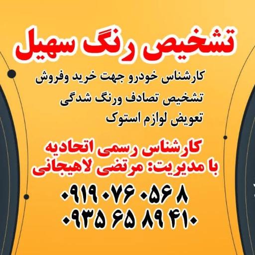 عکس صافکاری نقاشی مرتضی لاهیجانی 