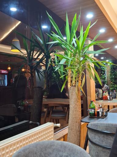 عکس فست فود بامبو