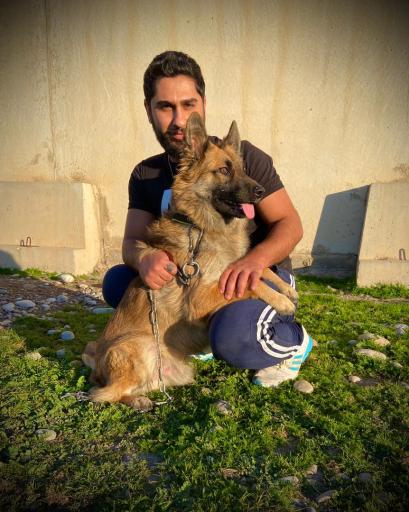 عکس باشگاه پرورش سگ دز کنل